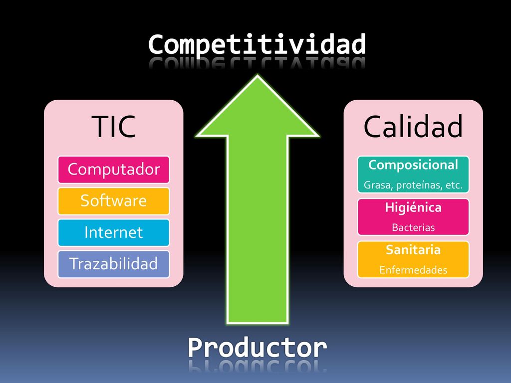 TIC Calidad Competitividad Productor Computador Software Internet