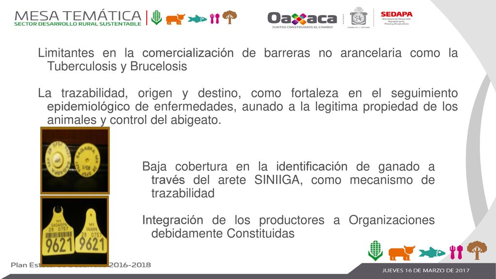 Limitantes en la comercialización de barreras no arancelaria como la Tuberculosis y Brucelosis La trazabilidad, origen y destino, como fortaleza en el seguimiento epidemiológico de enfermedades, aunado a la legitima propiedad de los animales y control del abigeato.