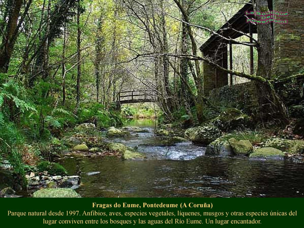 Fragas do Eume, Pontedeume (A Coruña) Parque natural desde 1997