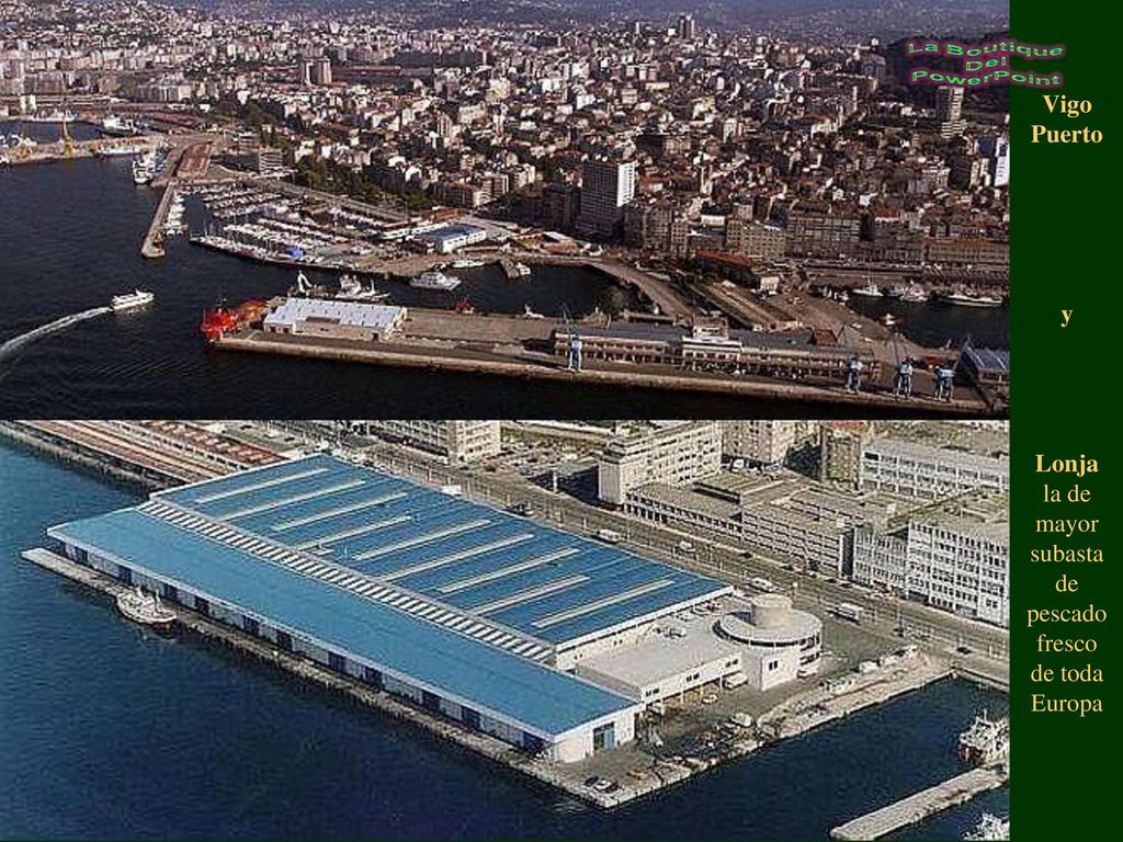 Vigo Puerto y Lonja la de mayor subasta de pescado fresco de toda Europa