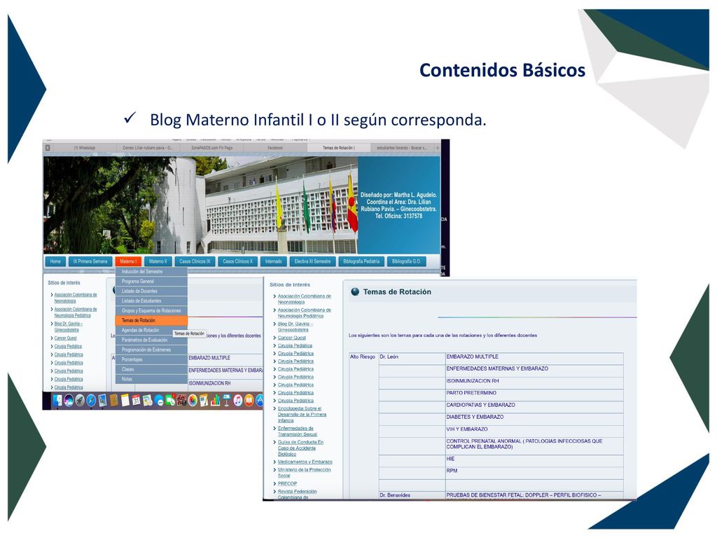 Contenidos Básicos Blog Materno Infantil I o II según corresponda.
