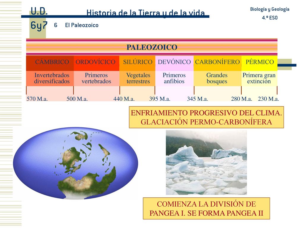 U.D. 6y7 Historia de la Tierra y de la vida PALEOZOICO