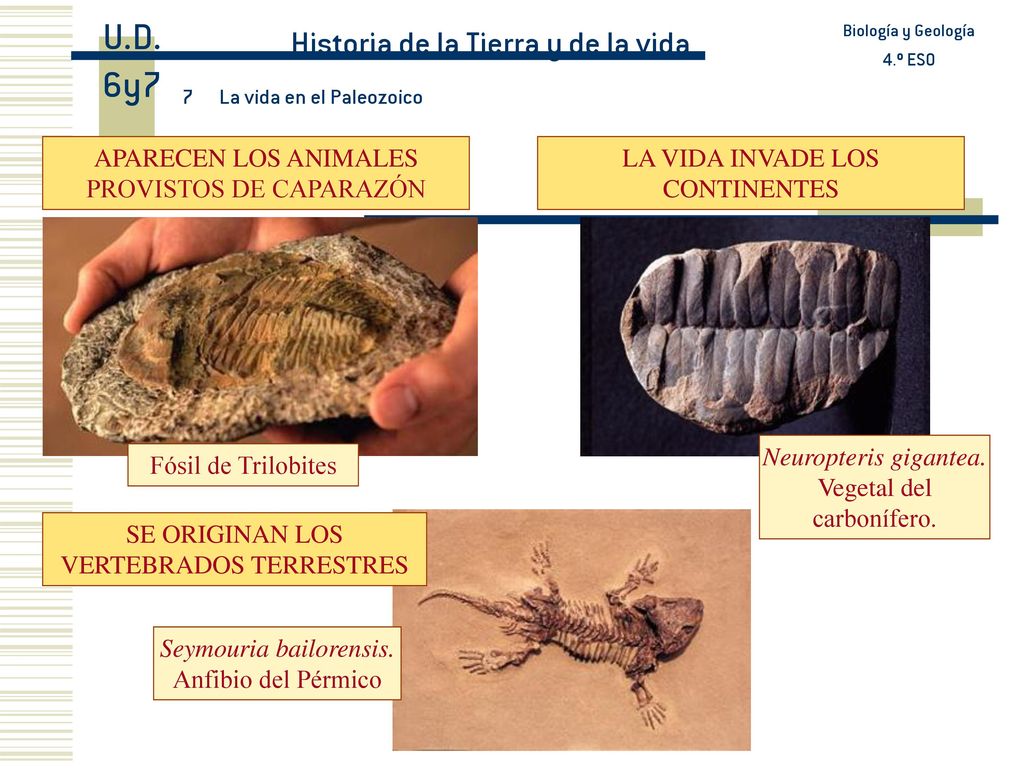 U.D. 6y7 Historia de la Tierra y de la vida