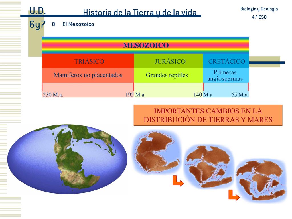 U.D. 6y7 Historia de la Tierra y de la vida MESOZOICO