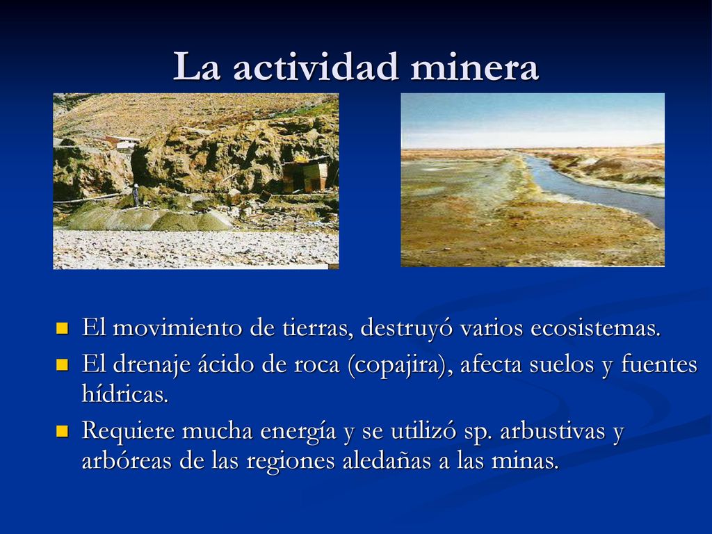La actividad minera El movimiento de tierras, destruyó varios ecosistemas. El drenaje ácido de roca (copajira), afecta suelos y fuentes hídricas.
