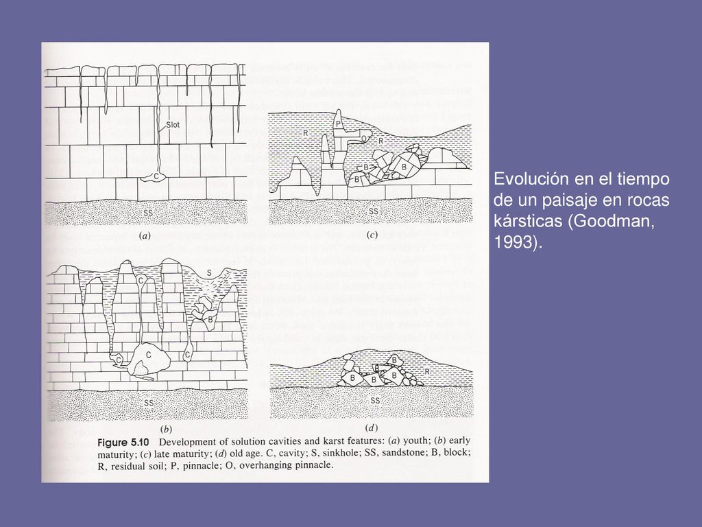 Evolución en el tiempo de un paisaje en rocas kársticas (Goodman, 1993).