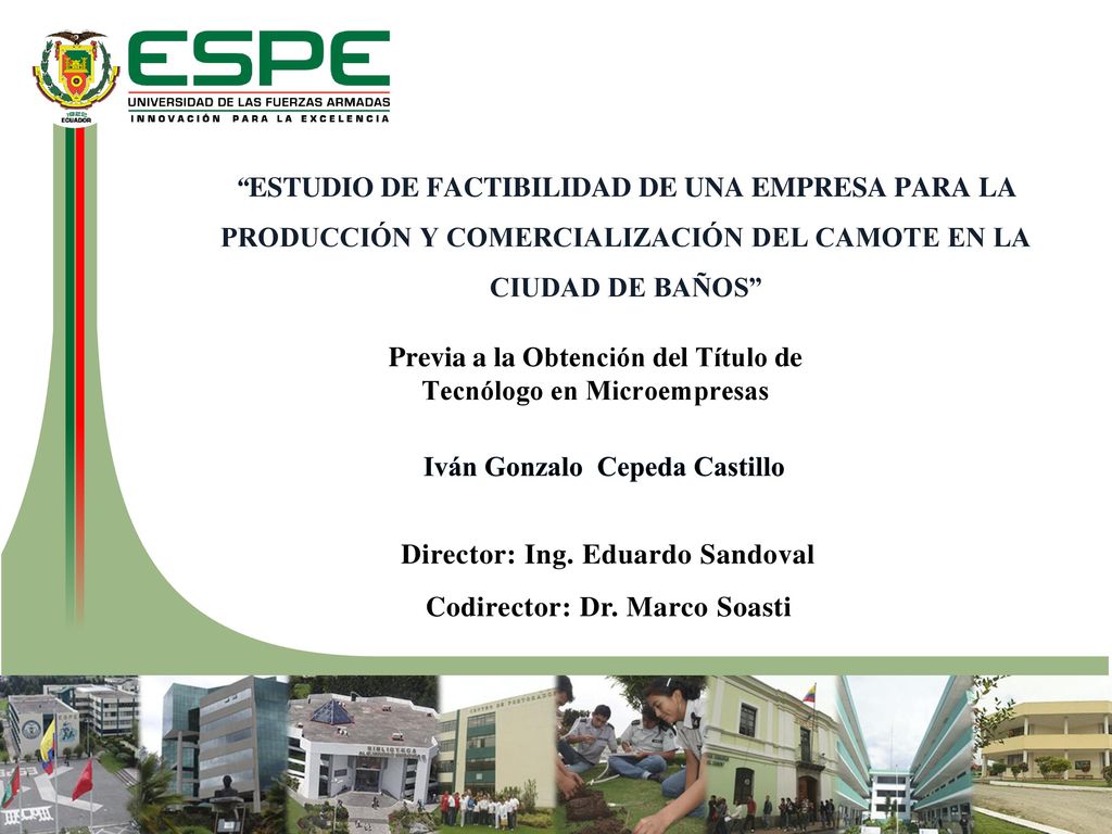 Previa a la Obtención del Título de Tecnólogo en Microempresas