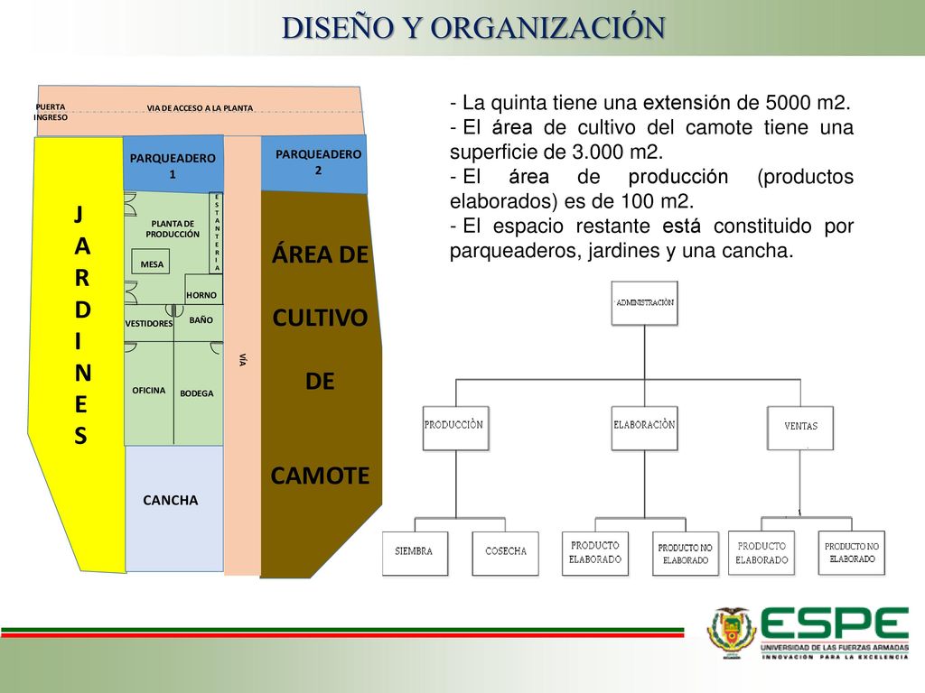 DISEÑO Y ORGANIZACIÓN La quinta tiene una extensión de 5000 m2.