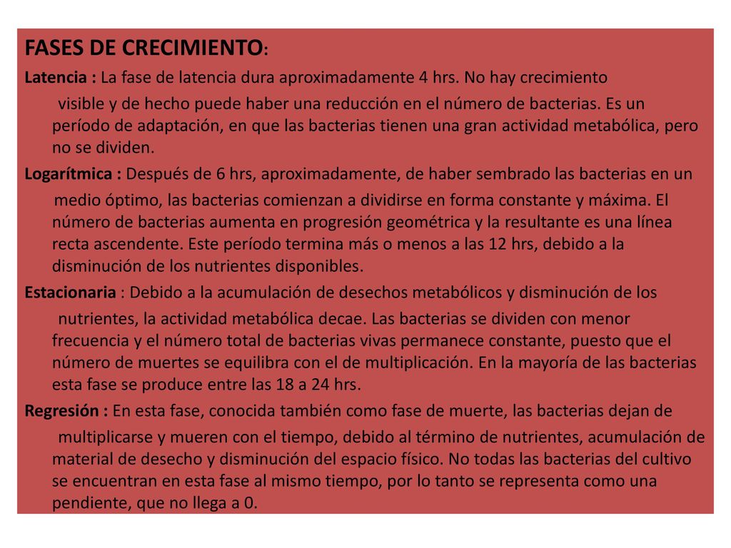 FASES DE CRECIMIENTO: Latencia : La fase de latencia dura aproximadamente 4 hrs. No hay crecimiento.
