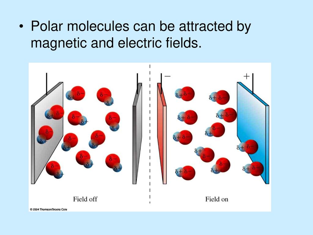 Polar molecules can be attracted by magnetic and electric fields.
