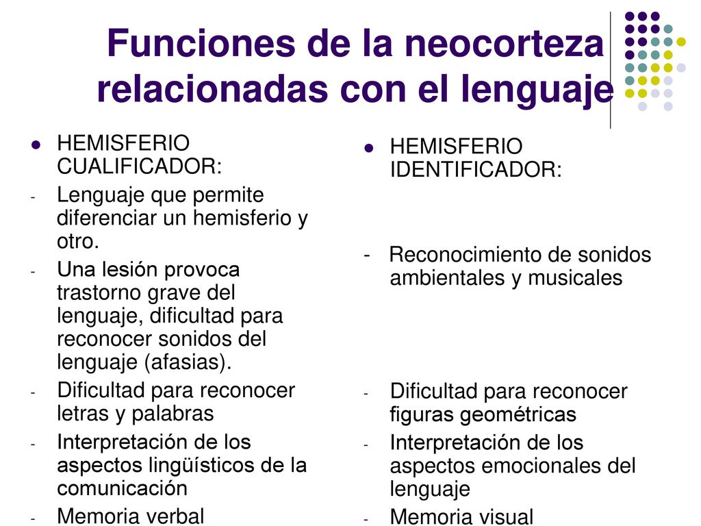 Funciones de la neocorteza relacionadas con el lenguaje