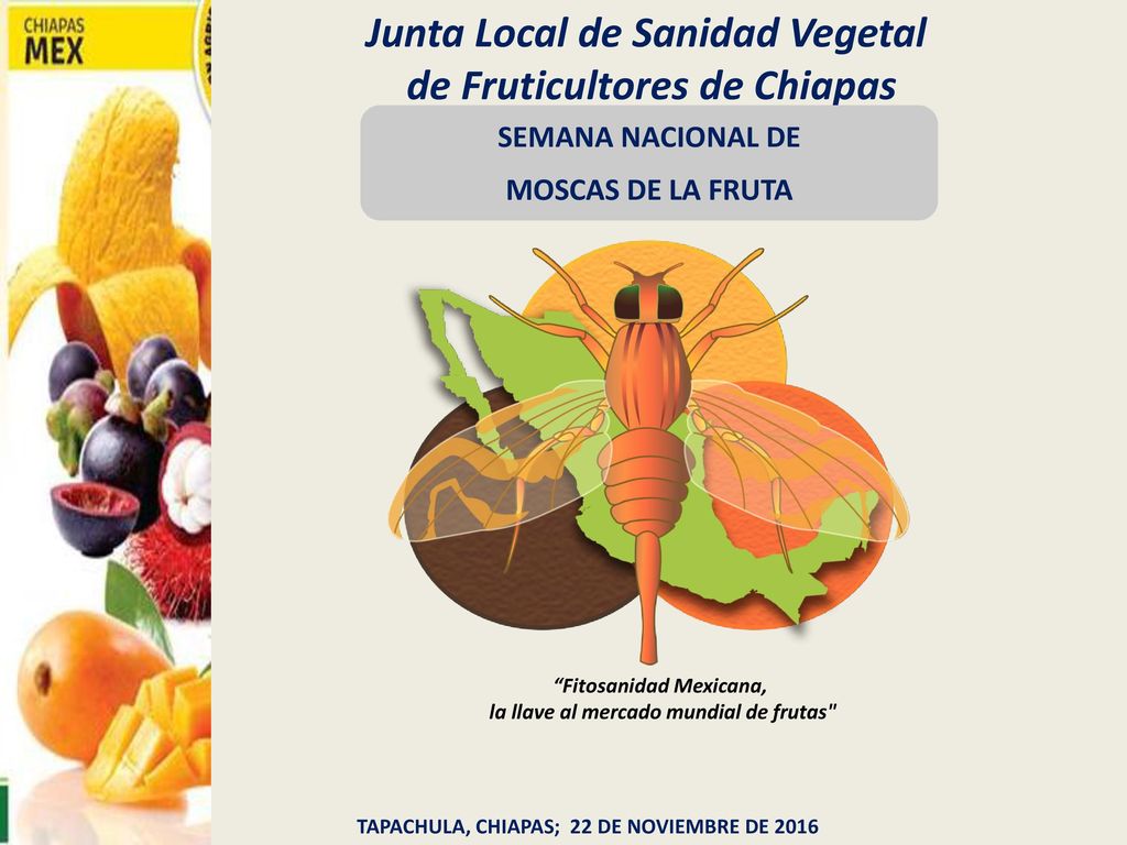 Junta Local de Sanidad Vegetal de Fruticultores de Chiapas