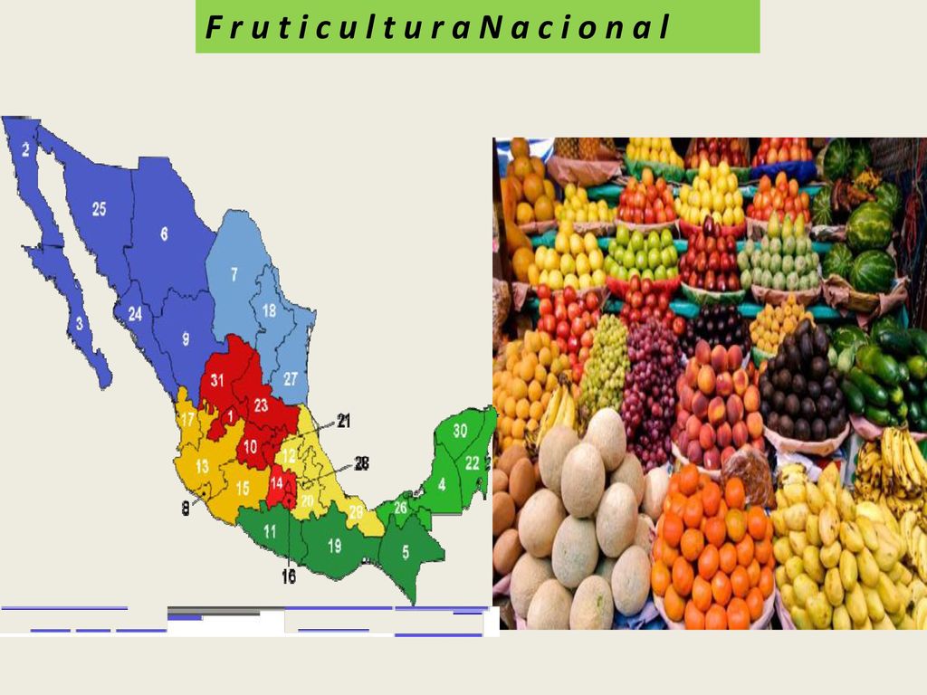 F r u t i c u l t u r a N a c i o n a l