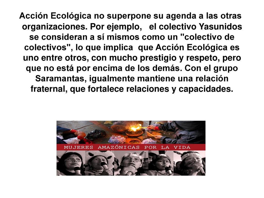 Acción Ecológica no superpone su agenda a las otras organizaciones