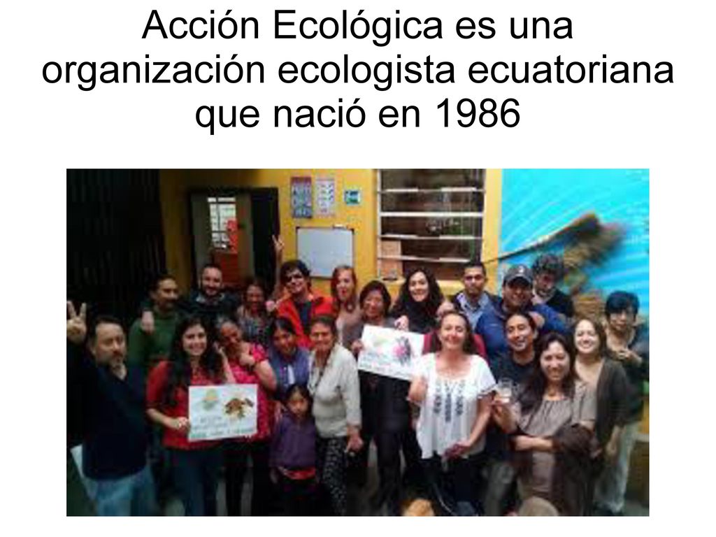 Acción Ecológica es una organización ecologista ecuatoriana que nació en 1986