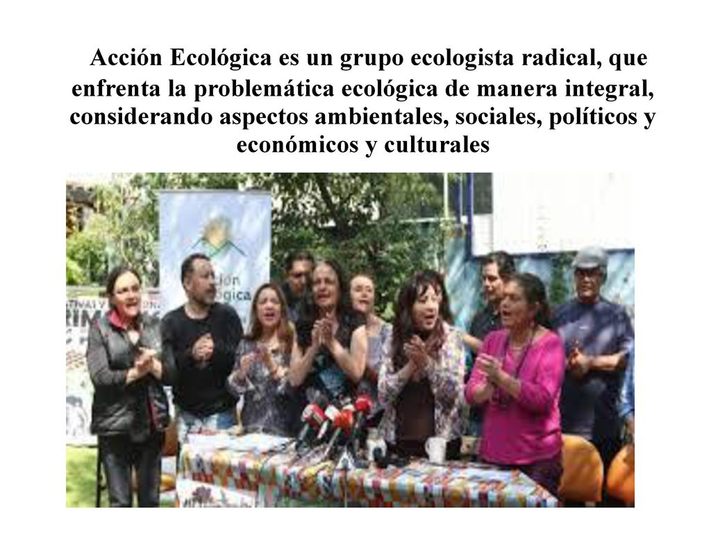 Acción Ecológica es un grupo ecologista radical, que enfrenta la problemática ecológica de manera integral, considerando aspectos ambientales, sociales, políticos y económicos y culturales
