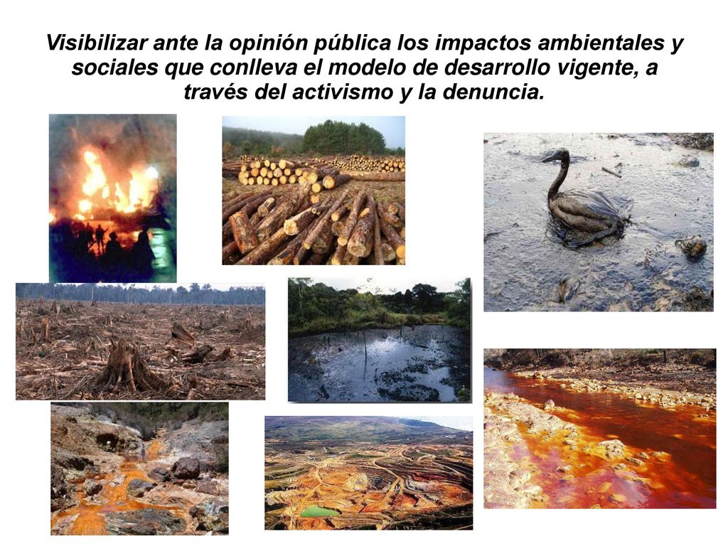 Visibilizar ante la opinión pública los impactos ambientales y sociales que conlleva el modelo de desarrollo vigente, a través del activismo y la denuncia.