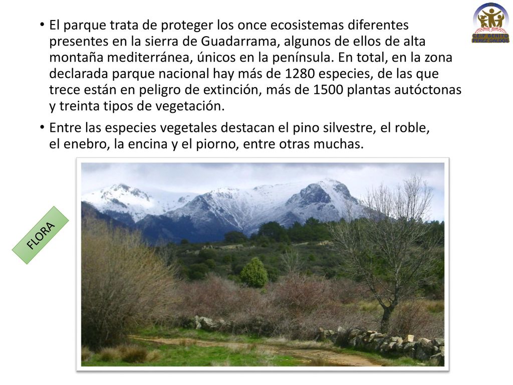 El parque trata de proteger los once ecosistemas diferentes presentes en la sierra de Guadarrama, algunos de ellos de alta montaña mediterránea, únicos en la península. En total, en la zona declarada parque nacional hay más de 1280 especies, de las que trece están en peligro de extinción, más de 1500 plantas autóctonas y treinta tipos de vegetación.