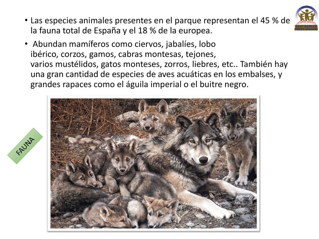 Las especies animales presentes en el parque representan el 45 % de la fauna total de España y el 18 % de la europea.