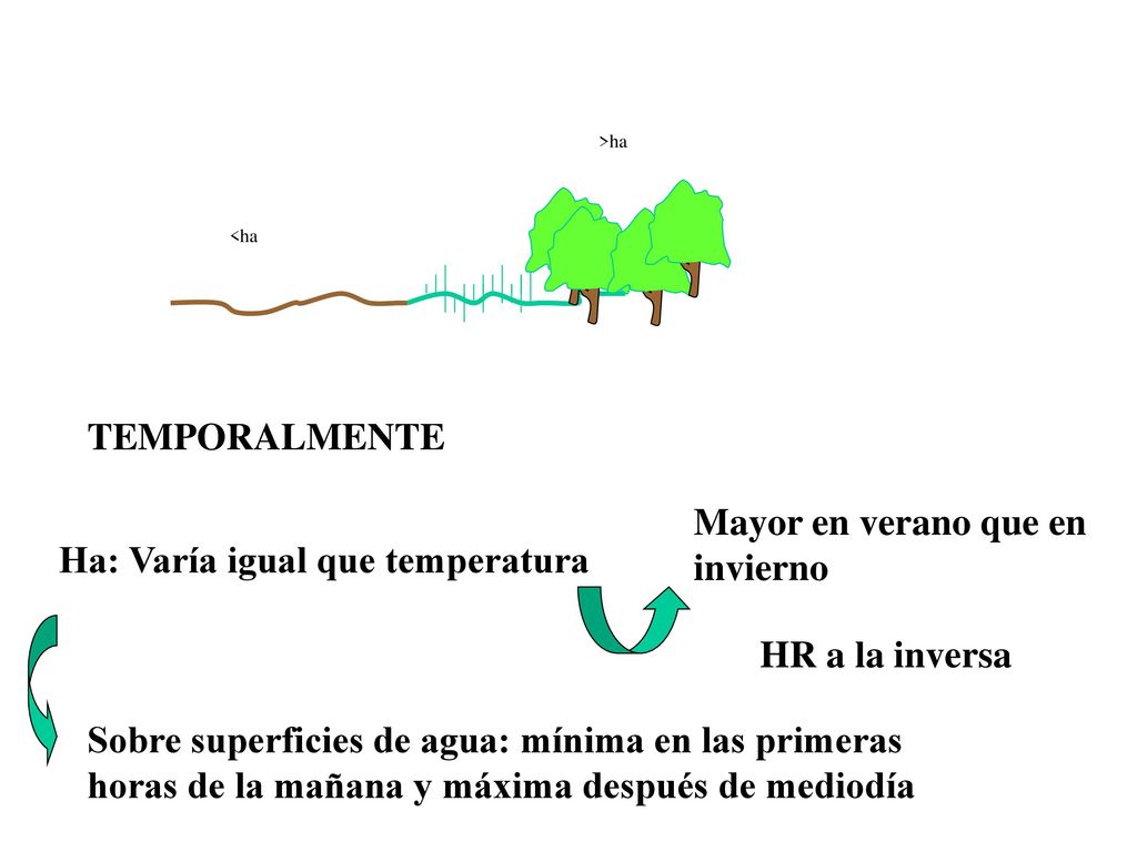 Mayor en verano que en invierno Ha: Varía igual que temperatura