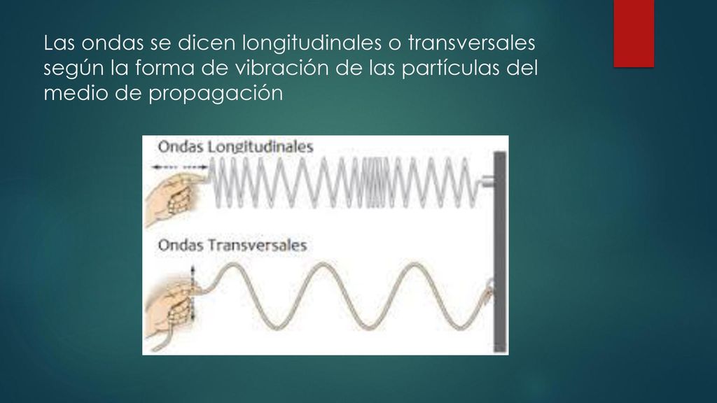 Las ondas se dicen longitudinales o transversales según la forma de vibración de las partículas del medio de propagación
