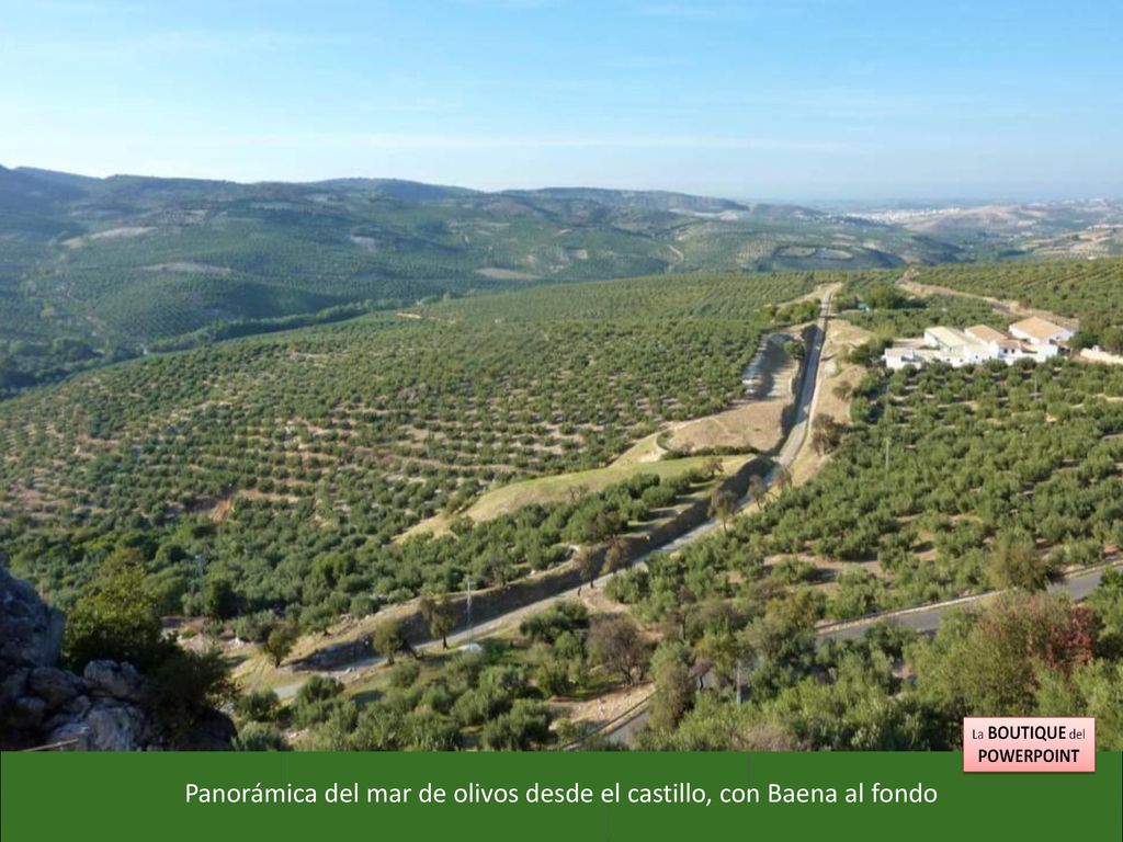 Panorámica del mar de olivos desde el castillo, con Baena al fondo