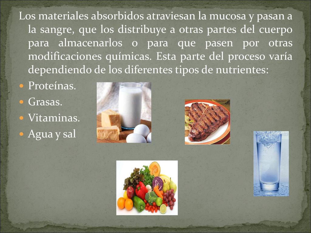 Los materiales absorbidos atraviesan la mucosa y pasan a la sangre, que los distribuye a otras partes del cuerpo para almacenarlos o para que pasen por otras modificaciones químicas. Esta parte del proceso varía dependiendo de los diferentes tipos de nutrientes: