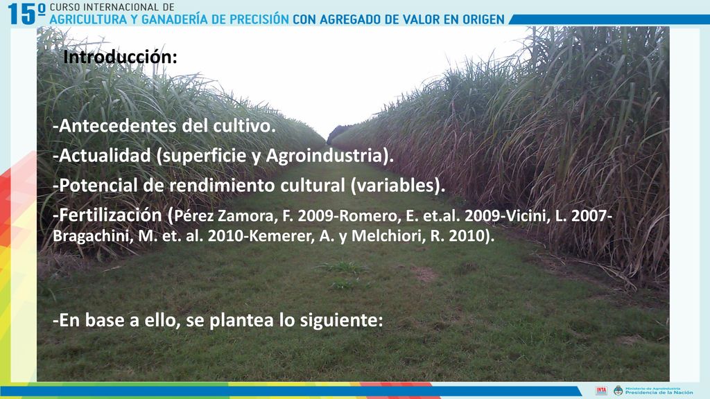 Introducción: -Antecedentes del cultivo. -Actualidad (superficie y Agroindustria). -Potencial de rendimiento cultural (variables).
