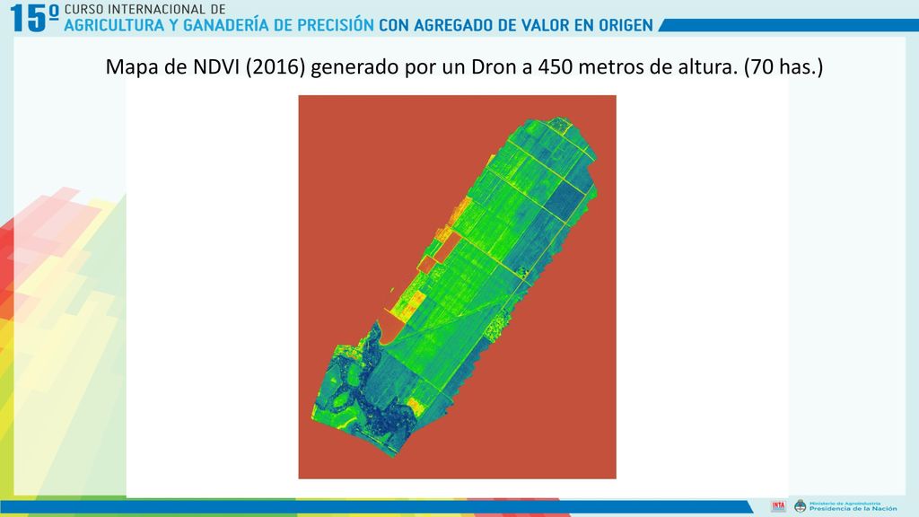 Mapa de NDVI (2016) generado por un Dron a 450 metros de altura