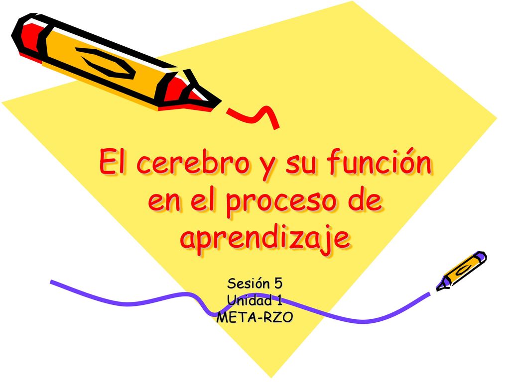 El cerebro y su función en el proceso de aprendizaje