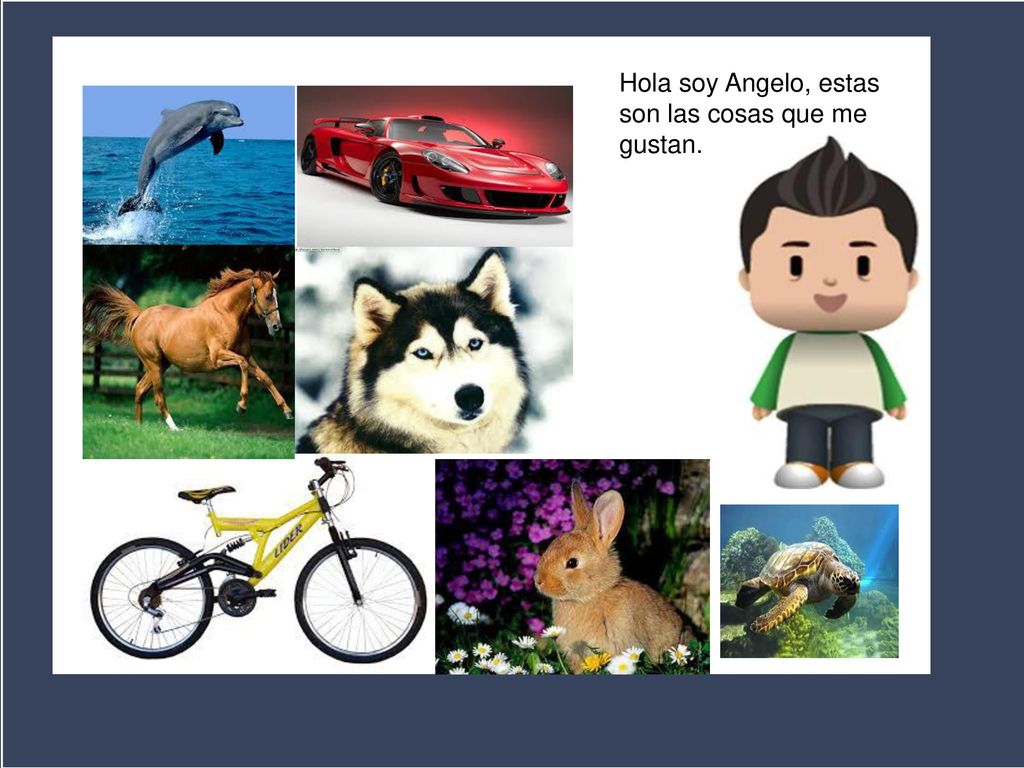 ¿Qué pasa aquí Hola soy Angelo, estas son las cosas que me gustan.