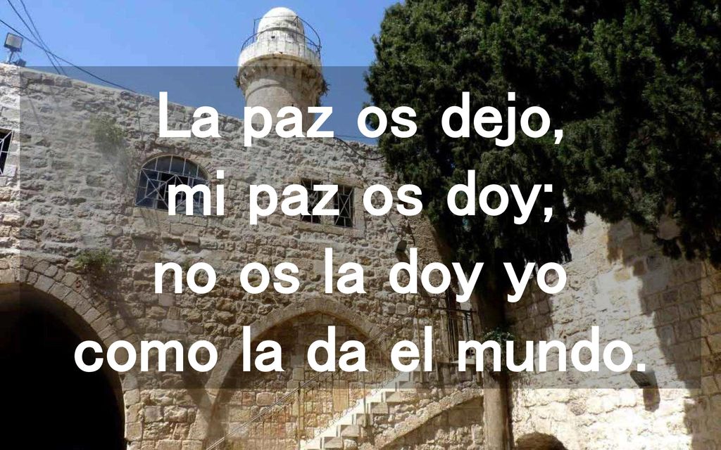 La paz os dejo, mi paz os doy; no os la doy yo como la da el mundo.
