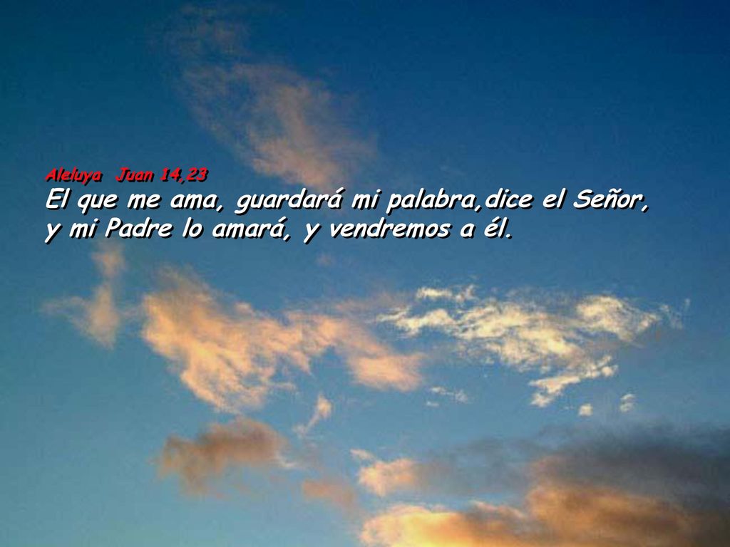 Aleluya Juan 14,23 El que me ama, guardará mi palabra,dice el Señor, y mi Padre lo amará, y vendremos a él.