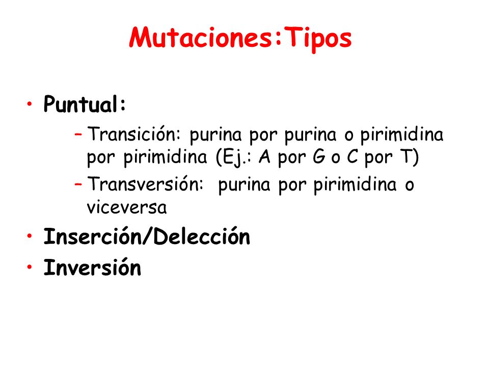 Mutaciones:Tipos Puntual: Inserción/Delección Inversión