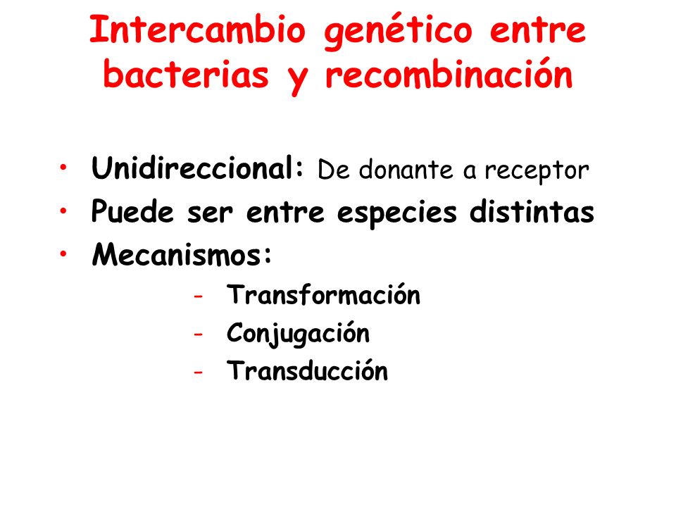 Intercambio genético entre bacterias y recombinación