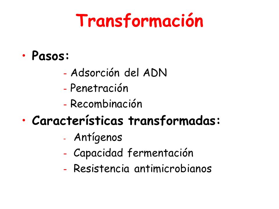 Transformación Pasos: Características transformadas: Adsorción del ADN