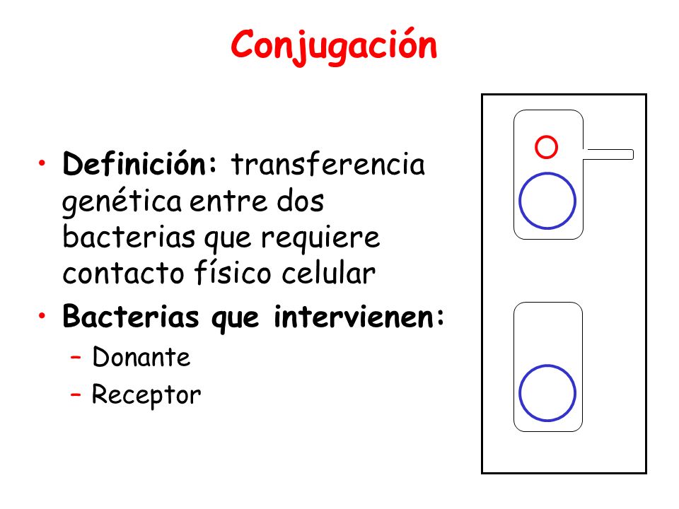 Conjugación Donor. Definición: transferencia genética entre dos bacterias que requiere contacto físico celular.