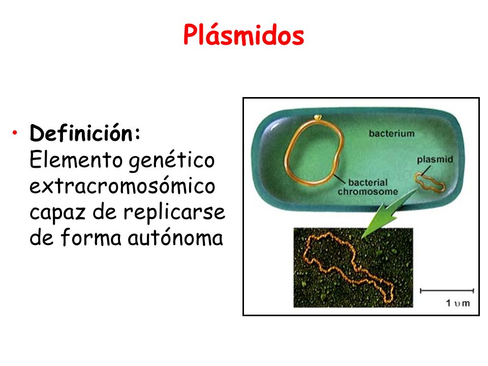 Plásmidos Definición: Elemento genético extracromosómico capaz de replicarse de forma autónoma