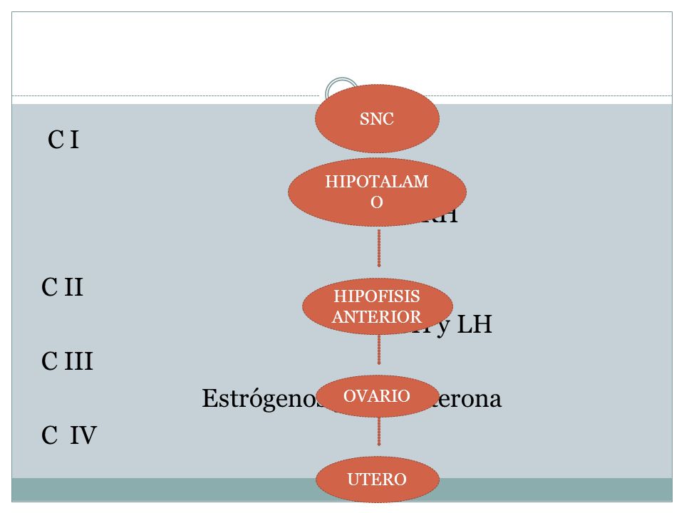 C I GnRH C II FSH y LH C III Estrógenos y Progesterona C IV