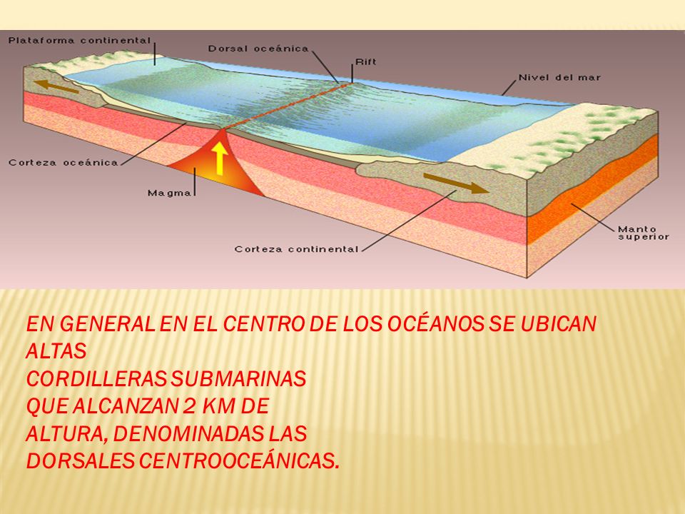 EN GENERAL EN EL CENTRO DE LOS OCÉANOS SE UBICAN ALTAS