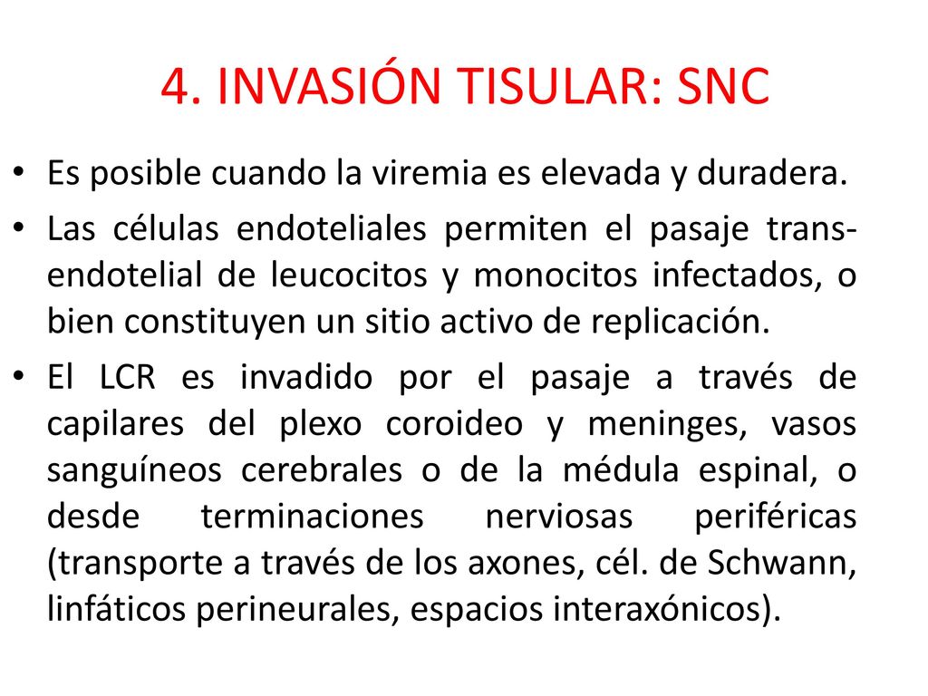 4. INVASIÓN TISULAR: SNC Es posible cuando la viremia es elevada y duradera.