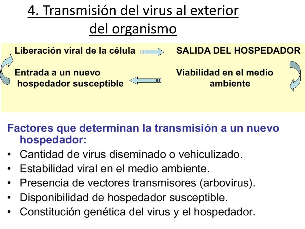 4. Transmisión del virus al exterior del organismo