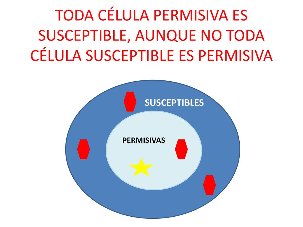 TODA CÉLULA PERMISIVA ES SUSCEPTIBLE, AUNQUE NO TODA CÉLULA SUSCEPTIBLE ES PERMISIVA