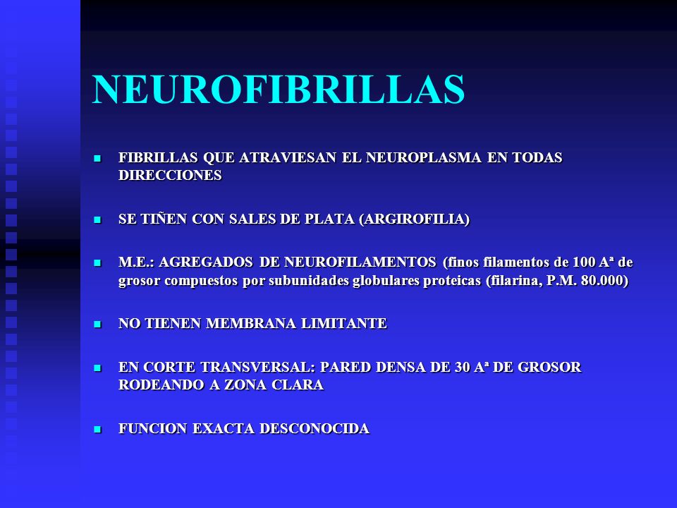 NEUROFIBRILLAS FIBRILLAS QUE ATRAVIESAN EL NEUROPLASMA EN TODAS DIRECCIONES. SE TIÑEN CON SALES DE PLATA (ARGIROFILIA)