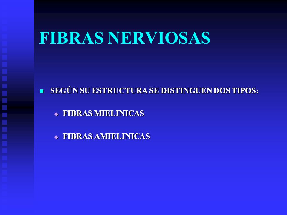 FIBRAS NERVIOSAS SEGÚN SU ESTRUCTURA SE DISTINGUEN DOS TIPOS:
