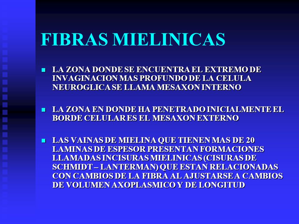FIBRAS MIELINICAS LA ZONA DONDE SE ENCUENTRA EL EXTREMO DE INVAGINACION MAS PROFUNDO DE LA CELULA NEUROGLICA SE LLAMA MESAXON INTERNO.