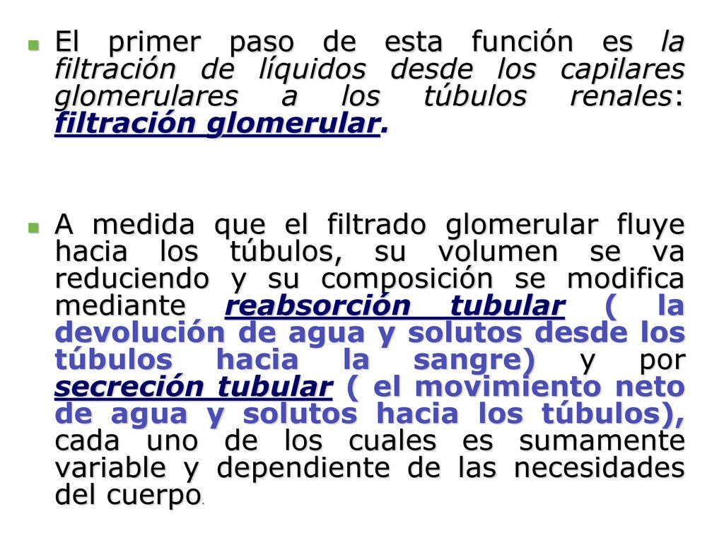 El primer paso de esta función es la filtración de líquidos desde los capilares glomerulares a los túbulos renales: filtración glomerular.