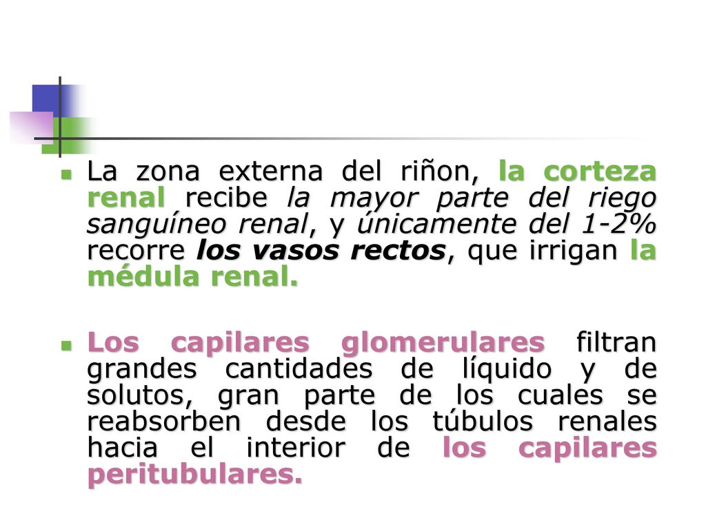 La zona externa del riñon, la corteza renal recibe la mayor parte del riego sanguíneo renal, y únicamente del 1-2% recorre los vasos rectos, que irrigan la médula renal.