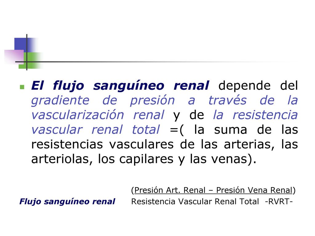 El flujo sanguíneo renal depende del gradiente de presión a través de la vascularización renal y de la resistencia vascular renal total =( la suma de las resistencias vasculares de las arterias, las arteriolas, los capilares y las venas).