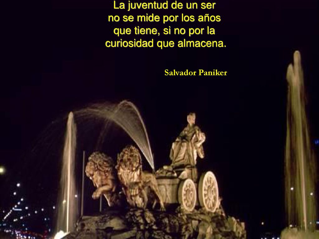 La juventud de un ser no se mide por los años que tiene, si no por la curiosidad que almacena.